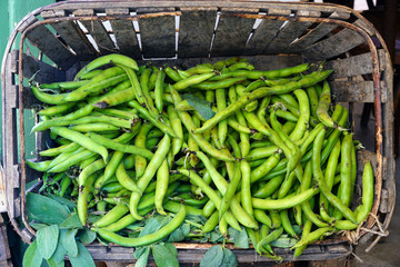 Crate of green fava beans at a French farmers market