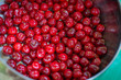 Sweet red Cherry in Bowl on Table