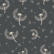 Seamless Pattern With Dandelions On A Dark Background