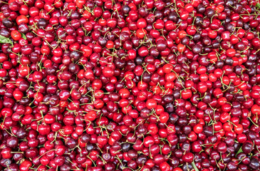 Poster - Background of ripe black cherries