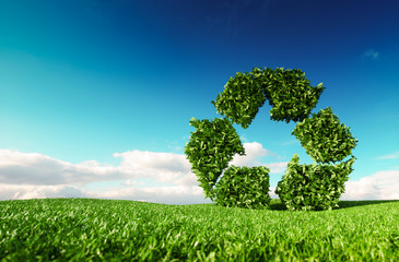 Wall Mural - eco friendly recyclation concept. 3d rendering of green recycle icon on fresh spring meadow with blu