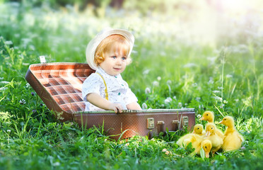 a boy with ducklings