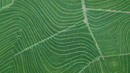 DCIM\100MEDIA\DJI_0153.JPG
