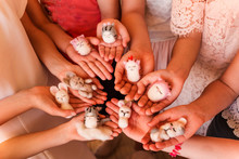 Kids's Hands Holding Felted Toys