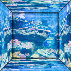 mirror image of the aquarium