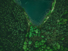 Pond And Forest Border From Above