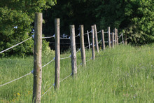 Electric Fence In The Field