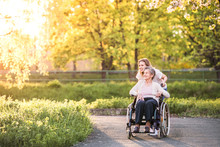 Elderly Grandmother In Wheelchair With Granddaughter In Spring Nature.