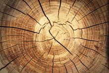 Background Of A Wooden Stump