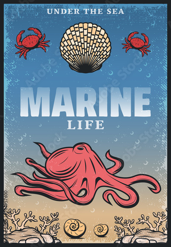 Vintage Colored Sea Life Poster