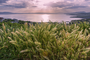 Wall Mural - Magic sunset on Adriatic coast in Croatia