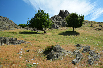 Sticker - Mary' s Stones, beautiful rocky area in Macin mountains of Dobrogea, Romania