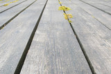 Fototapeta Na drzwi - Old vintage planked wood