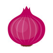 Red or purple bulb onion vegetable flat vector icon for food apps and websites