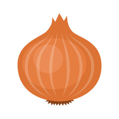 Wall Mural - Yellow or brown bulb onion vegetable flat vector icon for food apps and websites