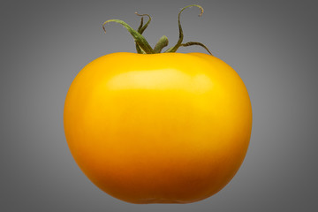 Canvas Print - Delicious single yellow tomato isolated on grey background with clipping path