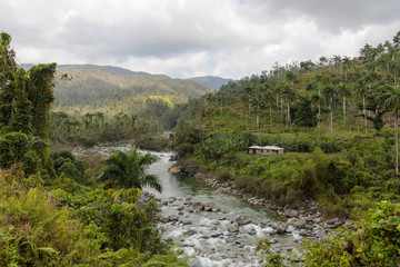 Wall Mural - view on national park alejandro de humboldt with river Cuba