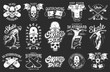 Set of emblems