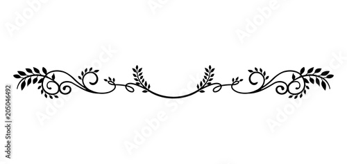 Fotografía decorative vintage border illustration (natural plant)
