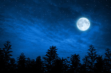 Wall Mural - forest in silhouette with starry sky , elements of this image are furnished by nasa