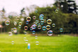 bubbles agianest blur spring forest park background