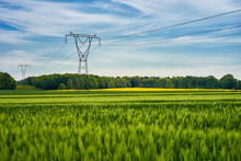 High Voltage Poles Standing In A Field Under A Blue Sky. Juicy Green Fields On A Colorful Summer Country Landscape.