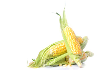 Poster - Fresh corn