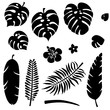 Set of silhouette tropical leaves. Jungle foliage. Green palm leaves isolated on the white background. Vector illustration
