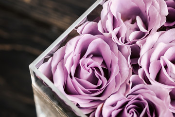 pastel purple hued roses in clear acrylic crystal flower box. square glass gift box. overhead, copys