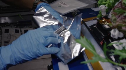 close up, astronaut wraps plant in international space station