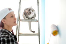 Girl Painter, Designer And Worker Paints A Roller And Brush The Wall. The Cat Sits Next To The Ladder And Looks At The Work.