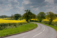 Bend In The Road In The UK With Rape Seed Oil Fields Either Side In Summer