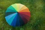 Fototapeta Tęcza - Colorful Rainbow Umbrella over a Green Grass Field Sunrisez Copy Space Spring Summer Rain