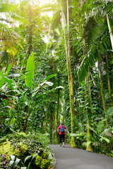 Wall Mural - Tourist admiring lush tropical vegetation of the Hawaii Tropical Botanical Garden of Big Island of Hawaii