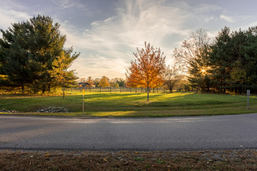 A small maple tree is the focal point in this landscape capture  during Autumn.  Unique formation of clouds in the background help to highlight the scene.  This capture was taken in  Findlay, OH.