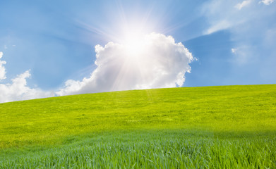 green grass field and bright blue sky