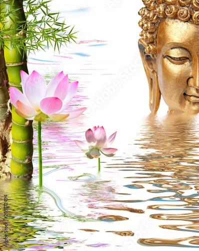 Composition Aquatique Zen Bouddha Lotus Et Bambou Stock Photo Adobe Stock