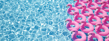 3D Rendering. A Lot Of Flamingo Floats In A Pool