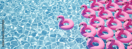3D rendering. a lot of flamingo floats in a pool Wallpaper Mural