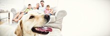 Happy Family Sitting On Couch With Their Pet Yellow Labrador In