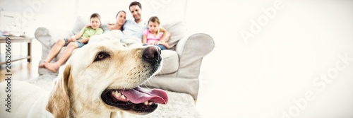 Fotografía Happy family sitting on couch with their pet yellow labrador in
