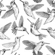 Seamless pattern made of hand drawn flying hummingbirds.