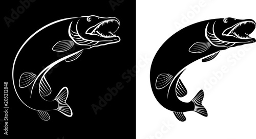 Cuadros en Lienzo pike fish - clip art illustration
