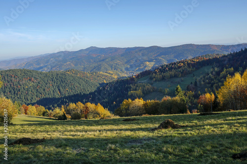 Dekoracja na wymiar  piekny-jesienny-krajobraz-gorcow-polska