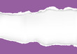 Violet ripped paper background. 
llustration of violet ripped paper with place for your image or text. Vector available. 