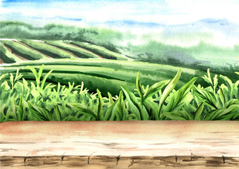 Wall Mural - Wood floor on tea plantation. Hand drawn watercolor illustration. Tea background