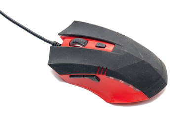 close up of mouse on white background