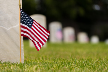 Small American flags and headstones at National cemetary- Memorial Day display