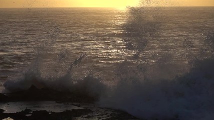 Wall Mural - Big stormy ocean wave at sunset, slow motion