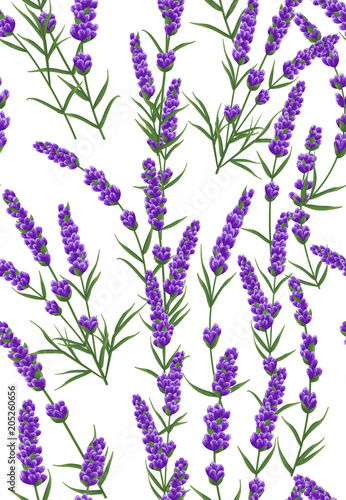 seamless-pattern-of-purple-lavender-flowers-watercolor-style-flowers-elegant-flowers-vector-background-lavender-background-for-text-card-template-invitation-banner-business-cards